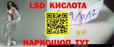стафф Дубна