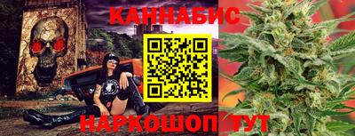 стафф Дубна