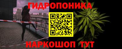 стафф Дубна