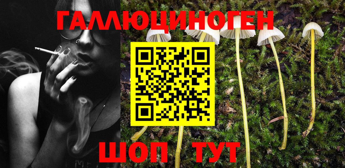 Псилоцибиновые грибы прущие грибы  Вход с VPN  Псилоцибиновые грибы Psilocybine cubensis  цены   Воронеж 